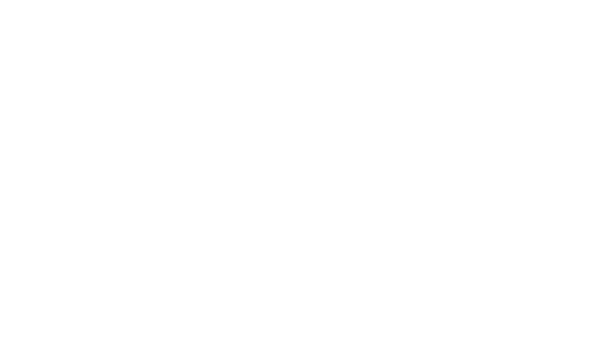 logo light
